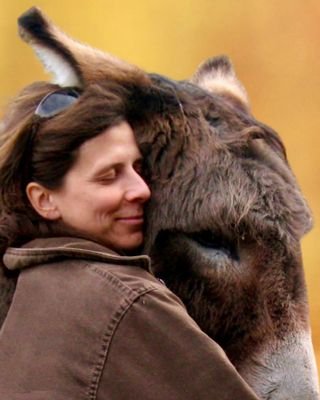 Sandie G Hucal profile image